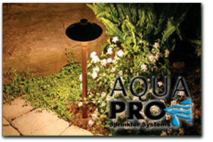 Aqua Pro Lighting Service Request