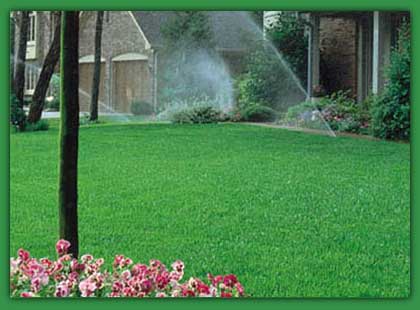 Lawn Sprinkler Systems